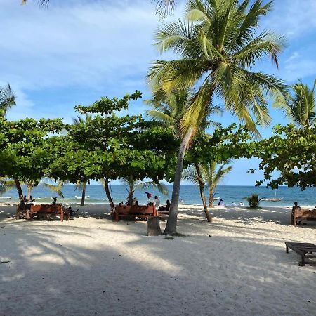 Restful Beach Front Studio-Diani Lejlighed Diani Beach Eksteriør billede