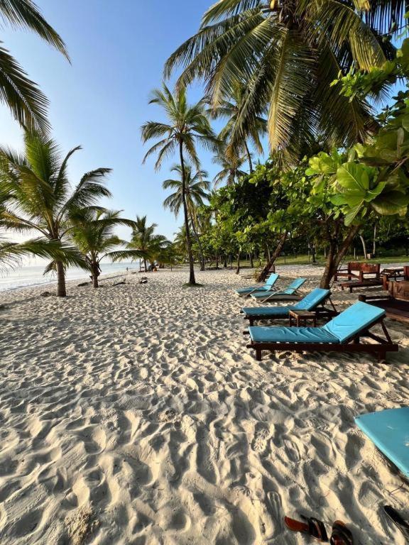 Restful Beach Front Studio-Diani Lejlighed Diani Beach Eksteriør billede